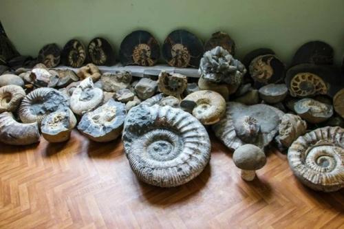 А вы знаете, что вершины Кавказа когда-то были дном моря? 02 А вы знаете, что вершины Кавказа когда-то были дном моря? 02