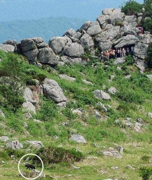 Дартмурское чудище. 
Ezomir.

