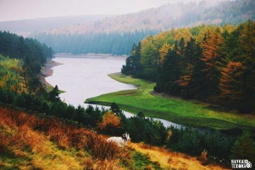 Пахнет осенью.  Что-то необыкновенно грустное, приветливое и красивое. 08