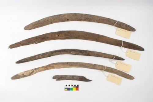 Древние бумеранги австралийских аборигенов не умели возвращаться, однако использовались повсеместно.
