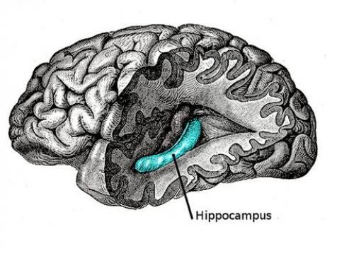 И вот она - последняя!  