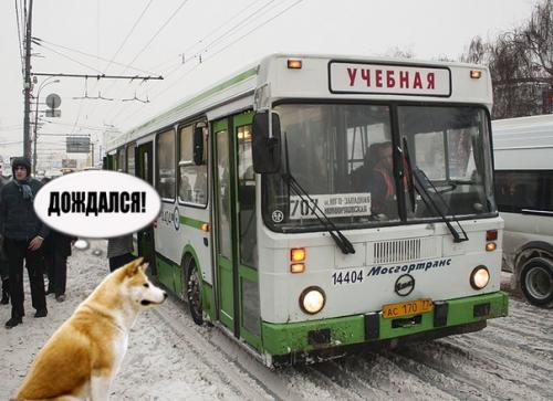 Новое - бесплатно общественный транспорт на карте.