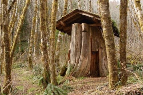 Дома - пни американских переселенцев XIX века. 07