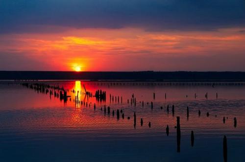 Лучшие фотографии, сделанные руками подписчиков Science, за неделю из альбома фотошкола Science. 01