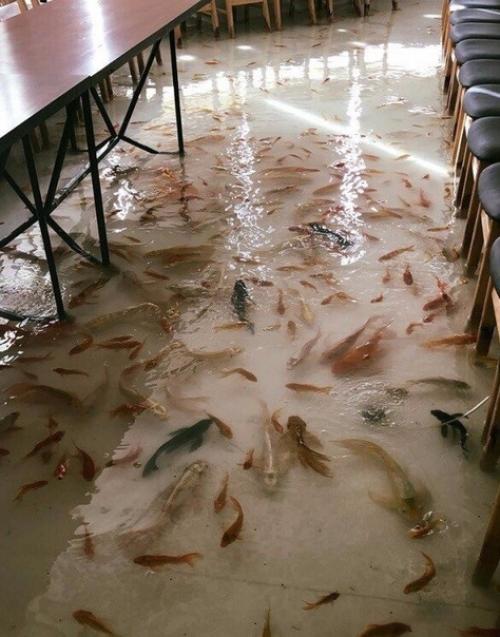 Шикарный ресторан. Вместо пола - аквариум. 01