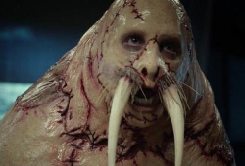 Эволюция превратит человека в некое подобие тюленя, - исследователь.