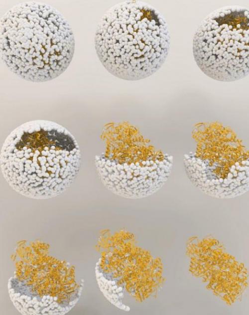 Учёные нанореактор для производства водорода создали. Учёные нанореактор для производства водорода создали.