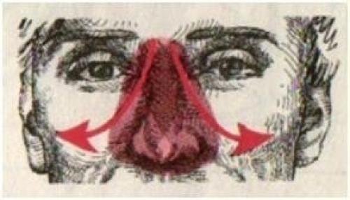 Тибетская гормональная гимнастика. 04