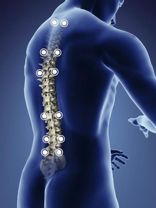 Учение о пране и Нади.