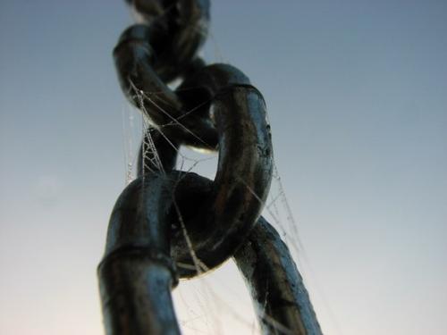 Лучшие фотографии, сделанные руками подписчиков Science, за неделю из альбома фотошкола Science. 05