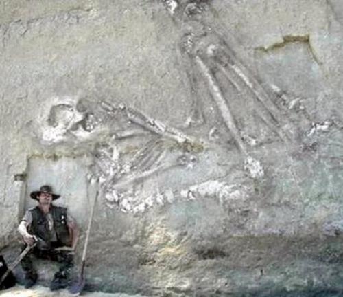 Мифы и правда о гигантах. 04