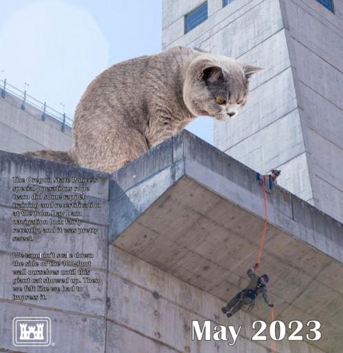 Инженерные войска одной из армий мира издали забавный календарь с огромными кошками. 02