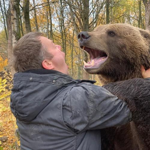 На аэродром в калужской области заглянул медведь. 03