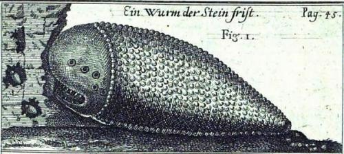 Шамир - загадочный древний инструмент, которым обрабатывали камни. 02 Шамир - загадочный древний инструмент, которым обрабатывали камни. 02