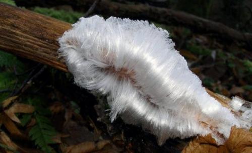 10 природных явлений, в существование которых вы не поверите. 07