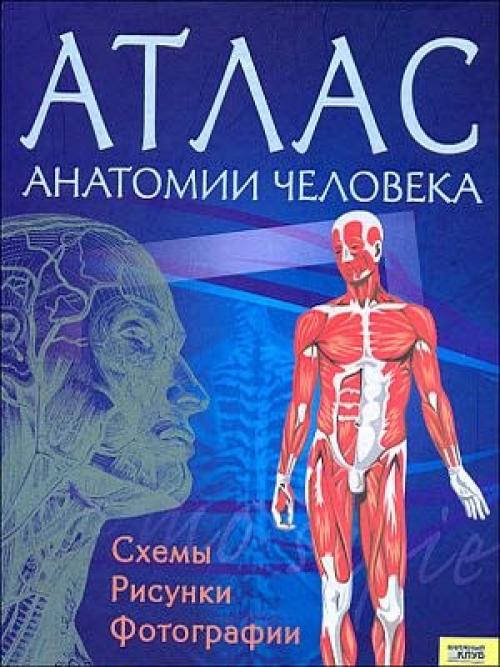 Мы предлагаем интересные книги по анатомии человека. 01