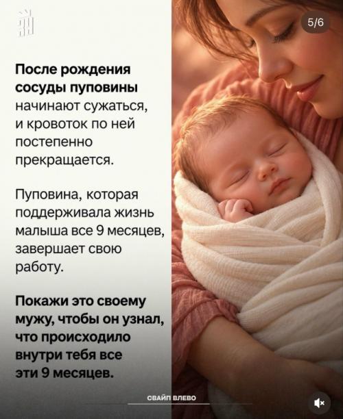 Все 9 месяцев ребенок получает из пуповины всё необходимое для жизни. 04