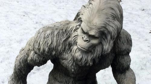 Неизвестное человекоподобное существо из аризоны. 01