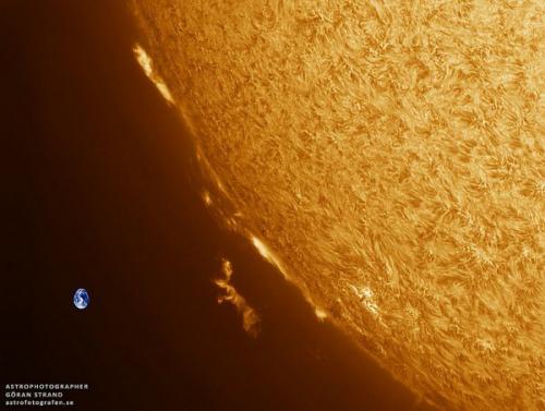 Танцы протуберанцев.  ( Астрономия@Science_Newworld). 04