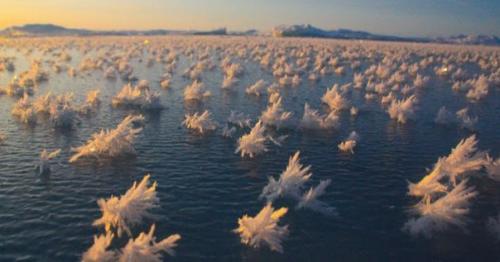 10 природных явлений, в существование которых вы не поверите. 08