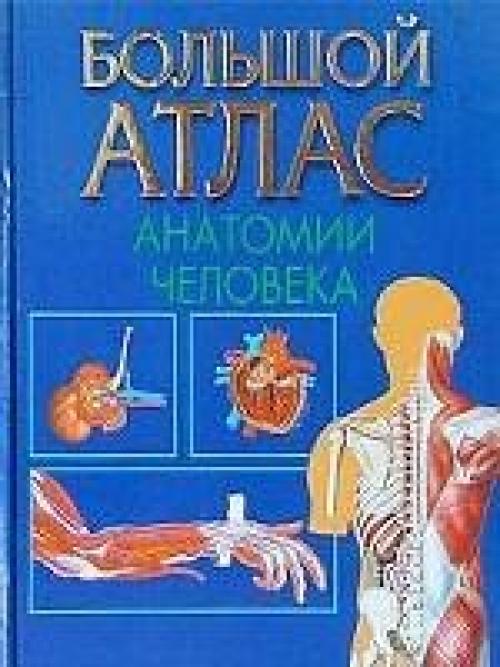 Мы предлагаем интересные книги по анатомии человека. 03