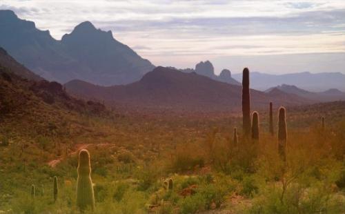 Зона молчания.  Ezomir. 03 Зона молчания.  Ezomir. 03