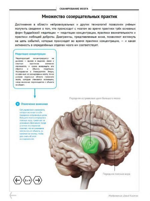 Мозг медитирующего. Ezomir. 03 Мозг медитирующего. Ezomir. 03