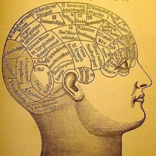 Как развить свой мозг.


