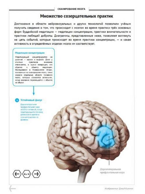 Мозг медитирующего. Ezomir. 05 Мозг медитирующего. Ezomir. 05