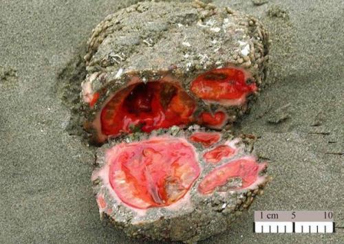 10 природных явлений, в существование которых вы не поверите. 09