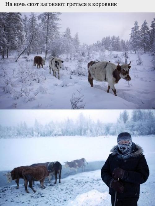 Самый холодный город на Земле. 06