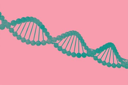 Корни личности: как гены влияют на характер, интеллект и душевное здоровье.