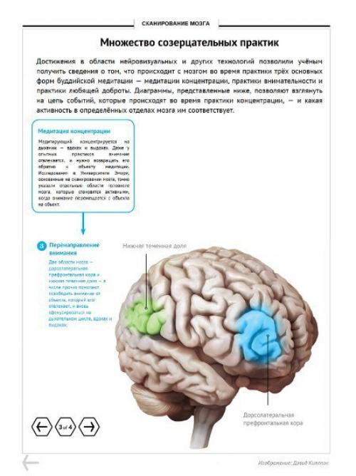 Мозг медитирующего. Ezomir. 04 Мозг медитирующего. Ezomir. 04