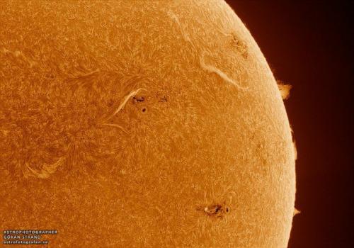 Танцы протуберанцев.  ( Астрономия@Science_Newworld).