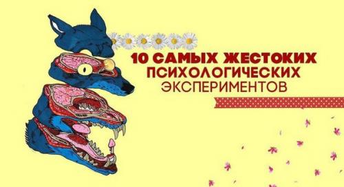 10 самых жестоких психологических экспериментов.