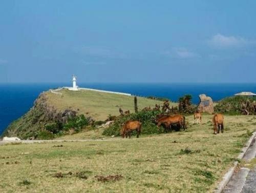 Тайна острова йонагуни. 01