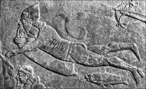 Надувные коровьи шкуры. 01