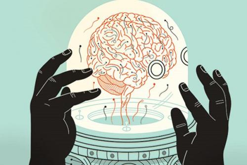 Эмоциональная наука: Анна свердлик о природе математики с точки зрения нейроученых.