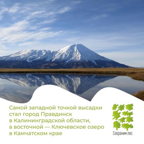 Участники акции мы Сохраним лес высадили больше 70 млн деревьев по всей России! 03
