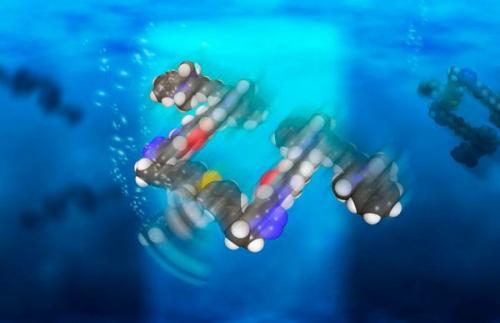 Скоростная 