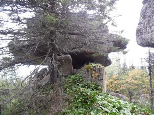 Алтай: мегалиты горы синюха. 07