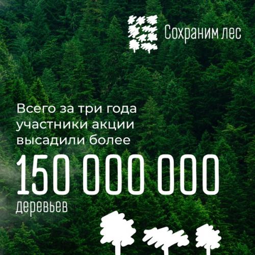 Участники акции мы Сохраним лес высадили больше 70 млн деревьев по всей России! 06