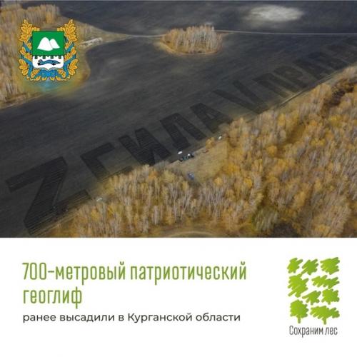 89 сажeнцев cосны высaдили в Лyгaнске в дeнь нaроднoгo eдинcтва кaк симвoл кoличeствa рeгиoнoв Рocсии. 03