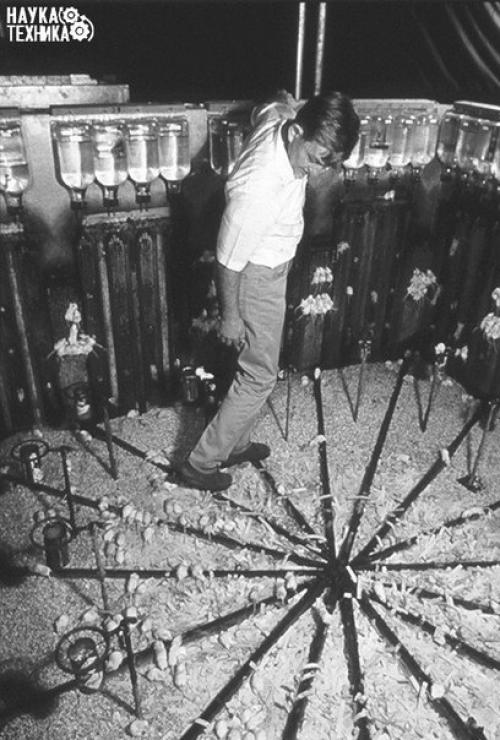 Ученый попытался создать рай на земле ( почитайте что из этого вышло.  