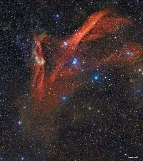 Эмиссионная туманность Sharpless 126 из созвездия ящерицы.