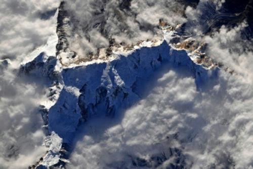 Садовники планеты земля. 01 Садовники планеты земля. 01