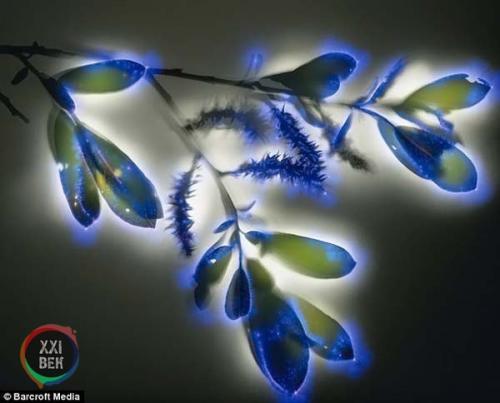 Растения и электричество. 06