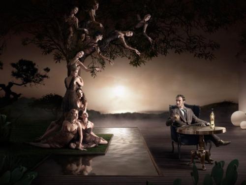 5 стадий опьянения.

