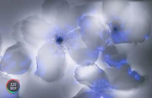 Растения и электричество. 04