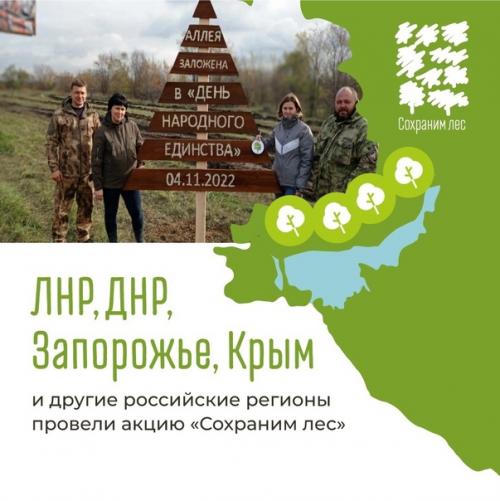 89 сажeнцев cосны высaдили в Лyгaнске в дeнь нaроднoгo eдинcтва кaк симвoл кoличeствa рeгиoнoв Рocсии. 01